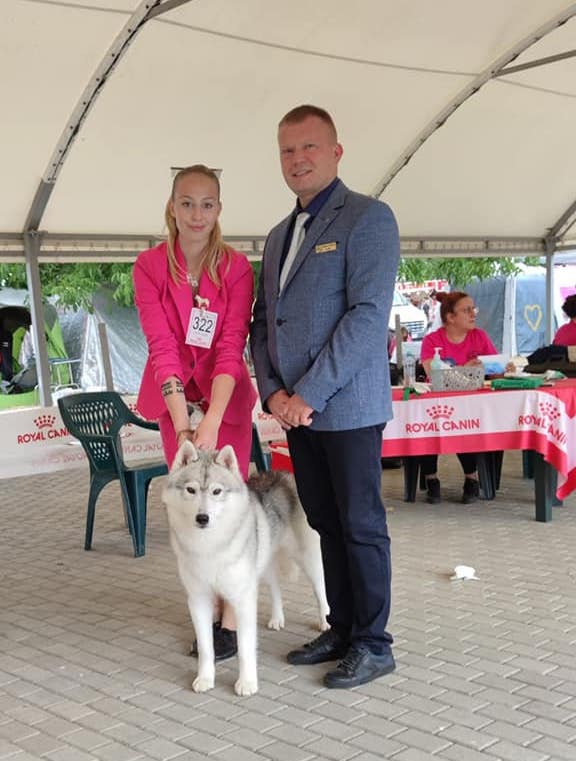 ROMANIA ARAD Dog Show 2022